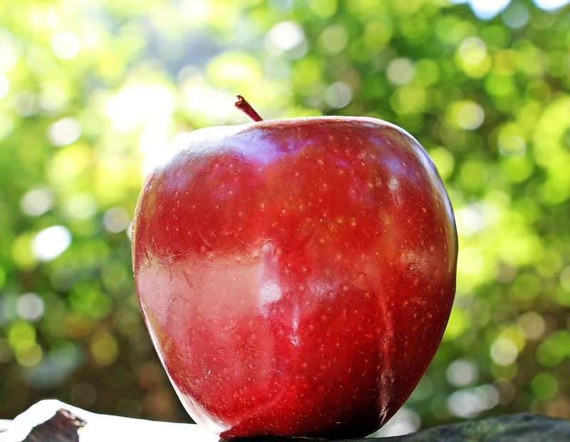 Fresh fruits